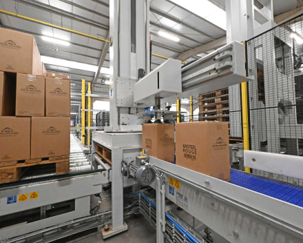 Palletiser Tina Box Vanhonsebrouck