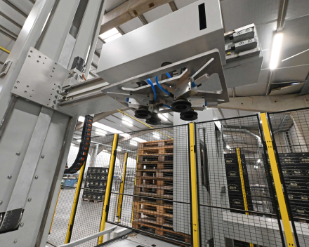Palletiser Tina Box Vanhonsebrouck
